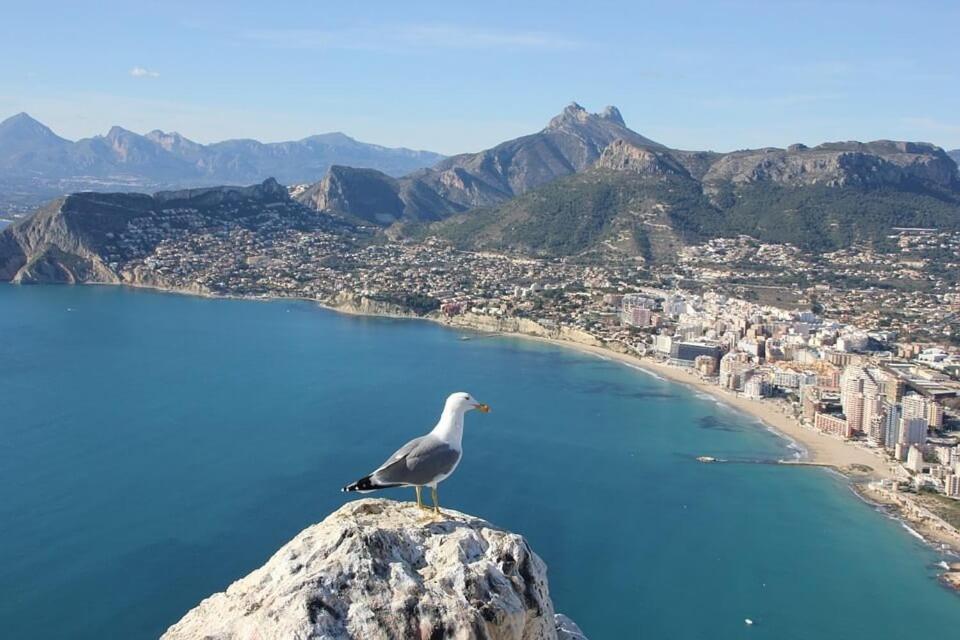 Villa Almendros - Plusholidays Calpe Ngoại thất bức ảnh